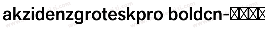 akzidenzgroteskpro boldcn字体转换